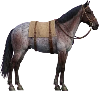 Blue Roan dengan selimut pelana kanvas
